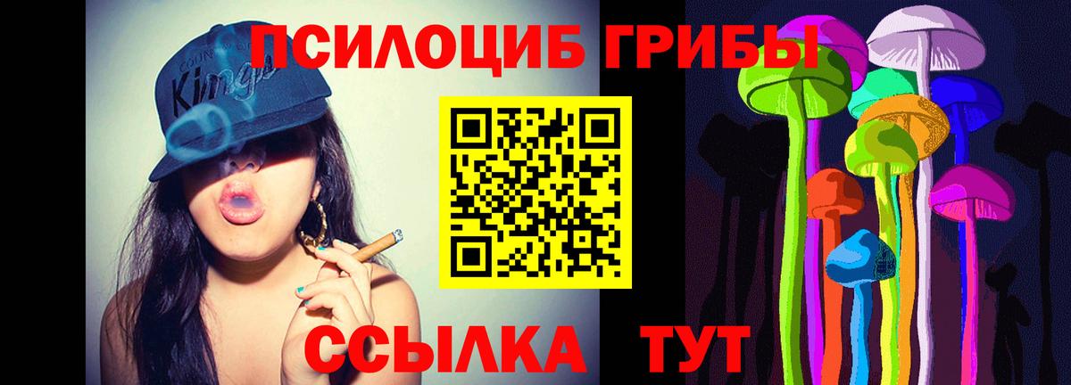 Псилоцибиновые грибы Cubensis  Вход с VPN  Кулебаки  Псилоцибиновые грибы Magic Shrooms 